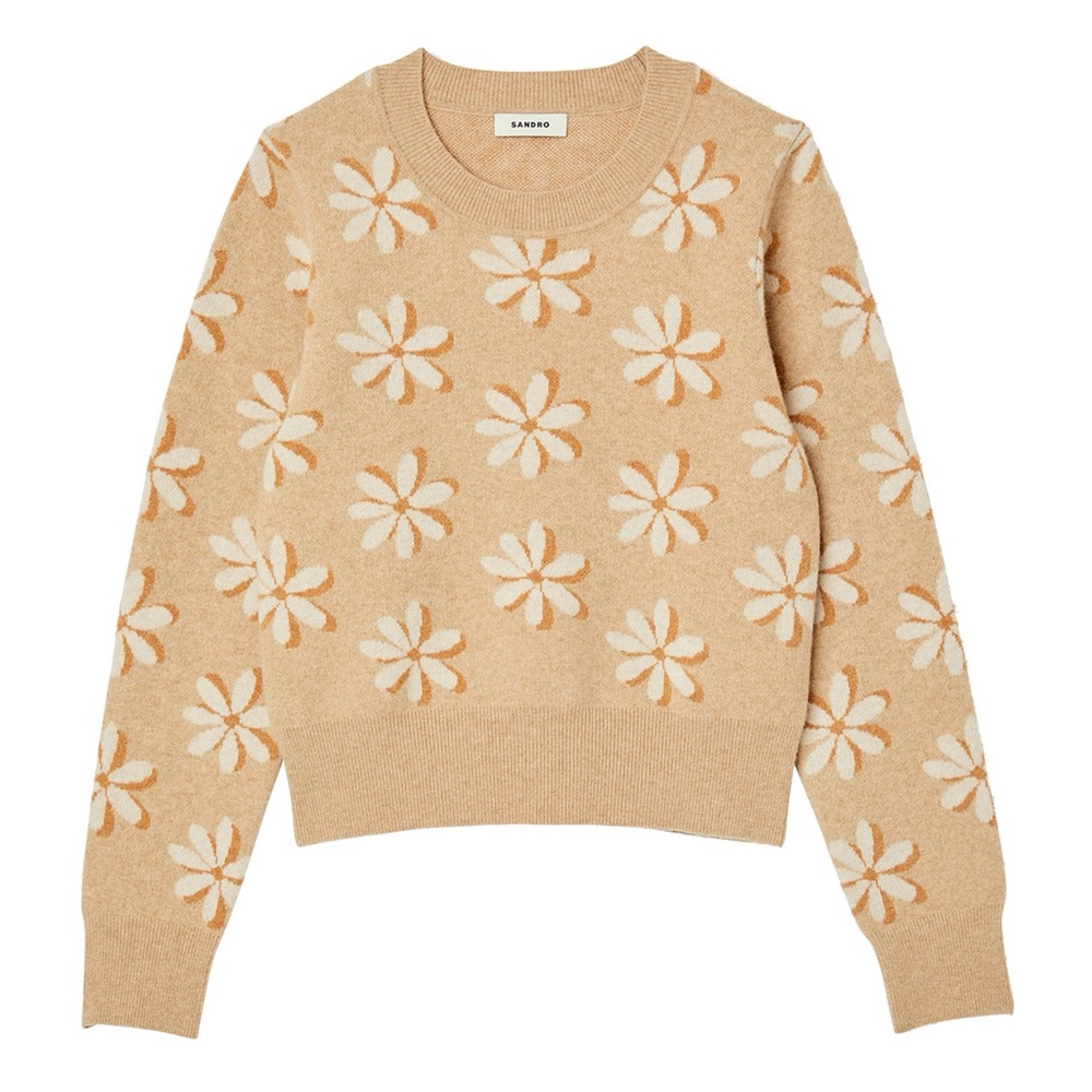 Floral Sandro Sweater